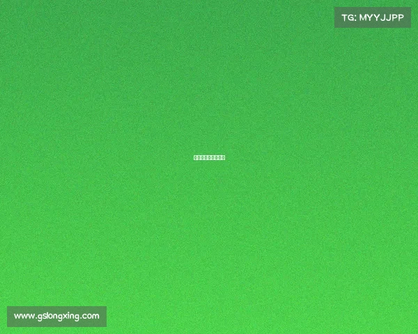 著名赛事羽毛球比赛